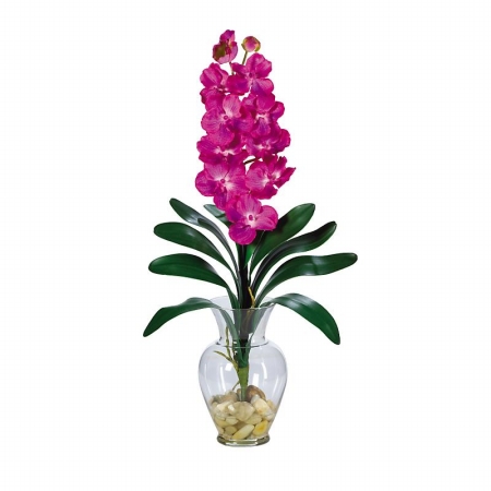 Shopzeus USA zeusd1CALA4270151 Single Stem Vanda Orchid Liquid Illusion