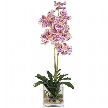 Shopzeus USA zeusd1CALA4270049 Vanda With Glass Vase