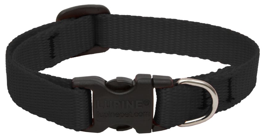 .50in. X 8in.-12in. Adjustable Black Collar For Small Dogs & Puppies 27534