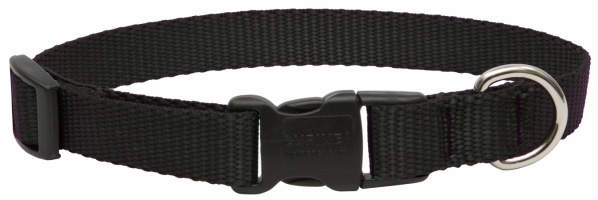 75in. X 11in.-17in. Adjustable Black Dog Collar