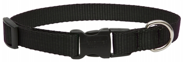 .75in. X 9in.-13in. Adjustable Black Dog Collar 27501