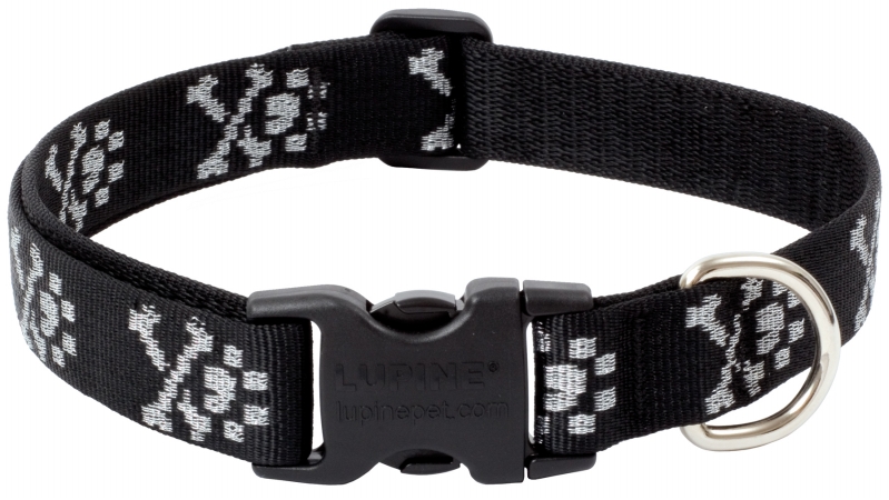 1in. X 12in.-20in. Adjustable Bling Bonz Design Collar For Medium & Large D
