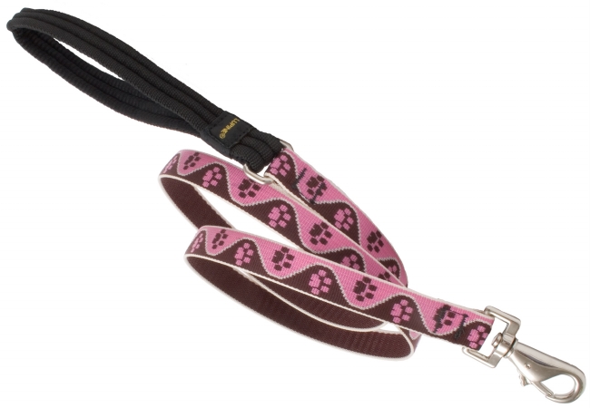 .75in. X 4ft. Tickled Pink Dog Lead 54307