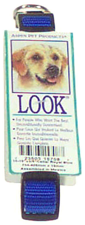 Doskocil  Aspen Pet 10in. To 16in. x .63in. Blue Adjustable Dog Collars Nylon 15