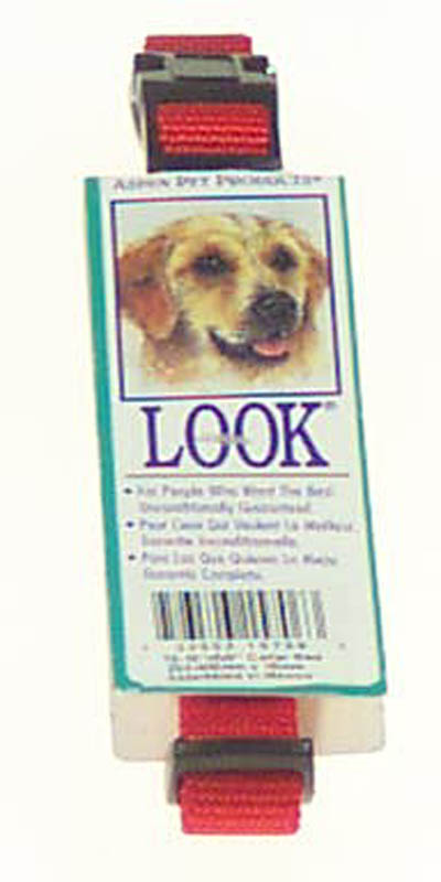 Doskocil  Aspen Pet 10in. To 16in. x .63in. Red Adjustable Dog Collars Nylon 157