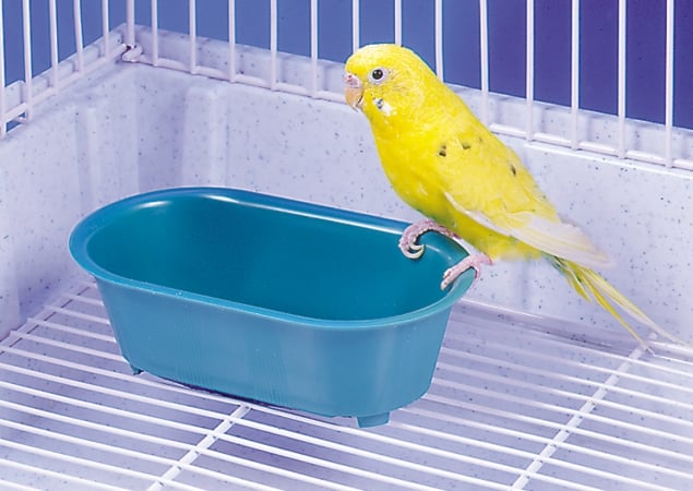 Plastic Bird Bath With Mirror
