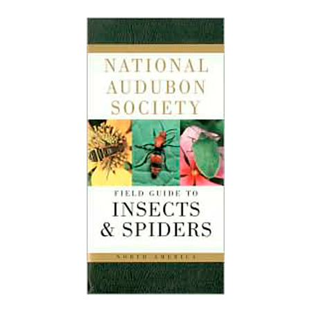 103807 National Audubon Society Field Guide To North American Insects And Spiders By Lorus Milne