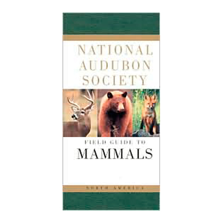 103808 National Audubon Society Field Guide To North American Mammals By John Whitaker