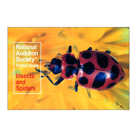 103828 National Audubon Society Pocket Guides To Insects And Spider By John Farrand
