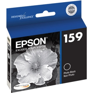 Epson Ultrachrome Hi-Gloss 2 Photo Black Ink Cartridge - R2000