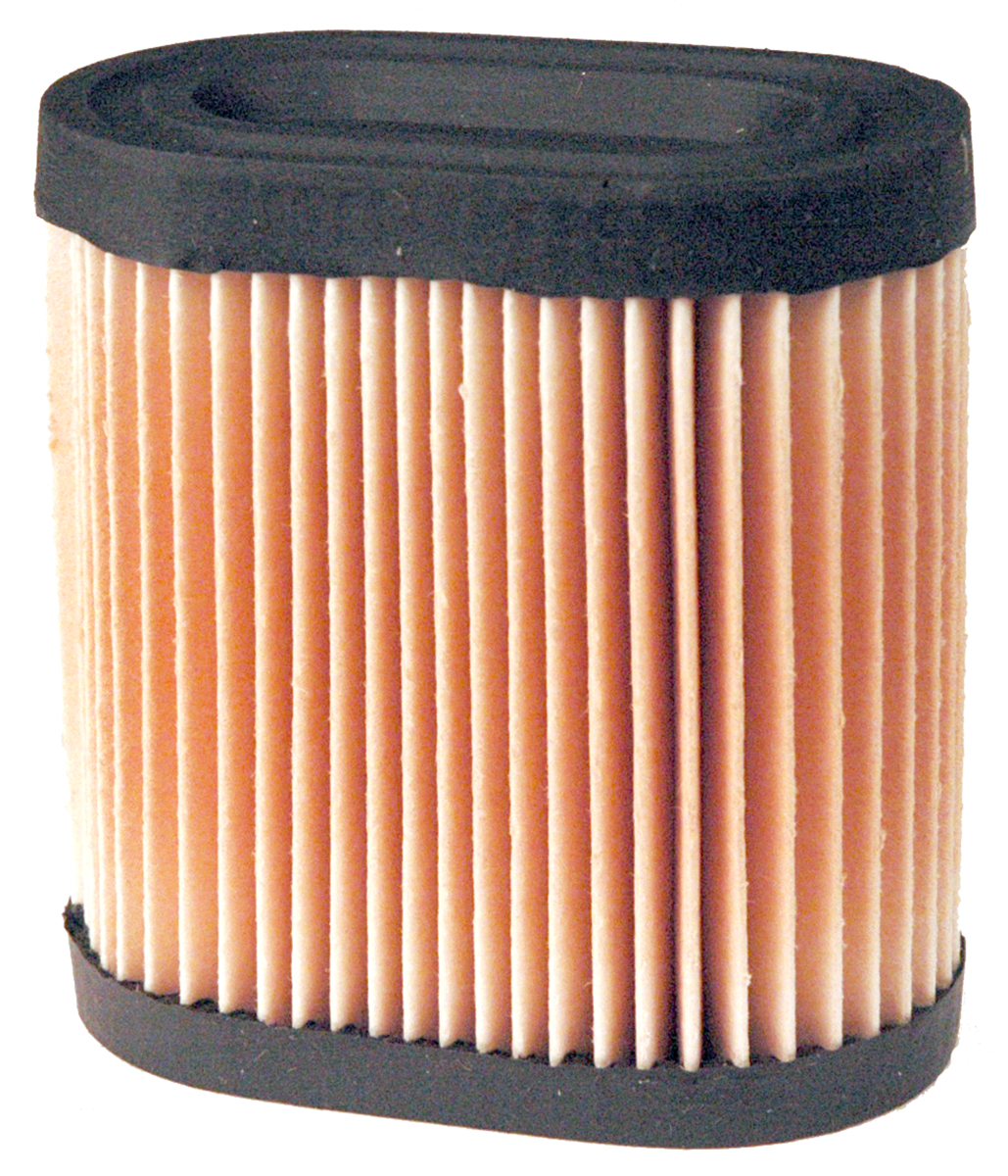 Tecumseh 36905 Air Filter
