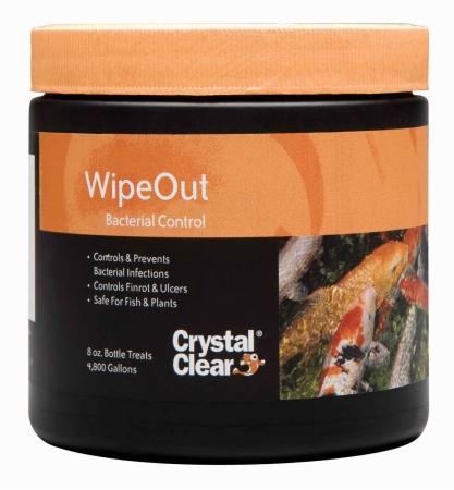Crystalclear 8 Oz Wipeout Bacterial Treatment Cc131-8