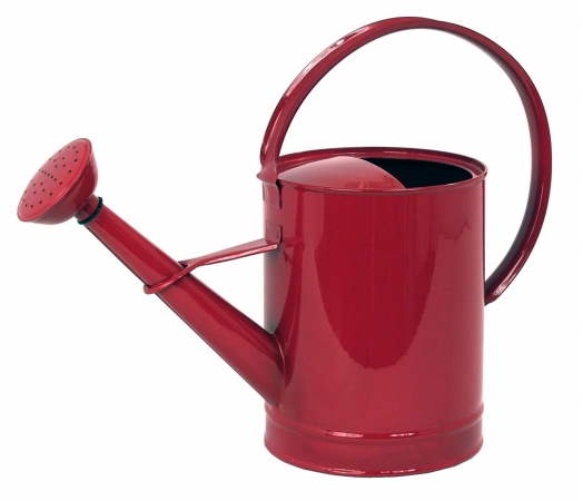 Houston International 12in. x 6.25in. Assorted Enamel Watering Cans 8582E