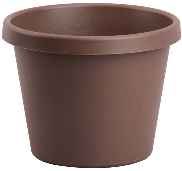 Myers-itml-akro Mils 6in. Chocolate Classic Pots - Pack Of 24
