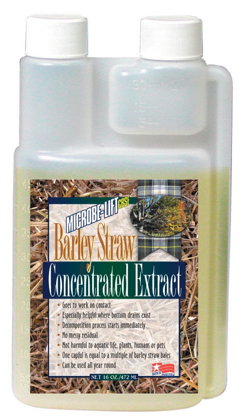 16 Oz Concentrated Extract Barley Straw Mlcbse500 - Pack Of 6