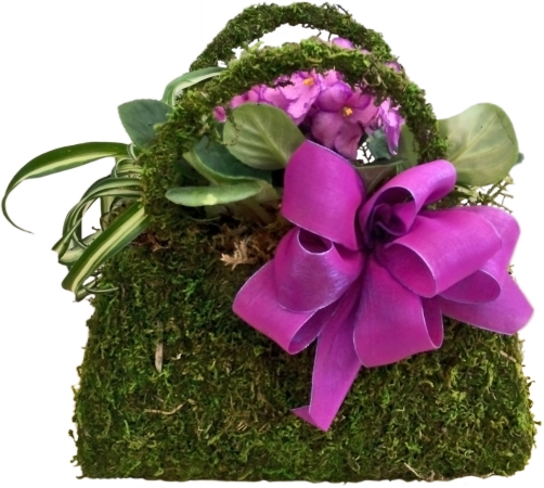 Super Moss 3 Piece Moss Purse 