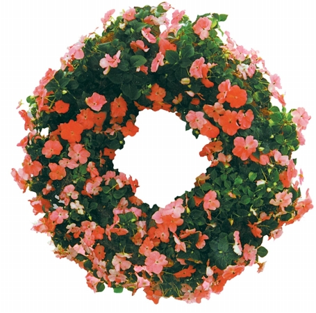 Austram 16in. Green Growing Wreath With Hanger 506712  Pack of 6