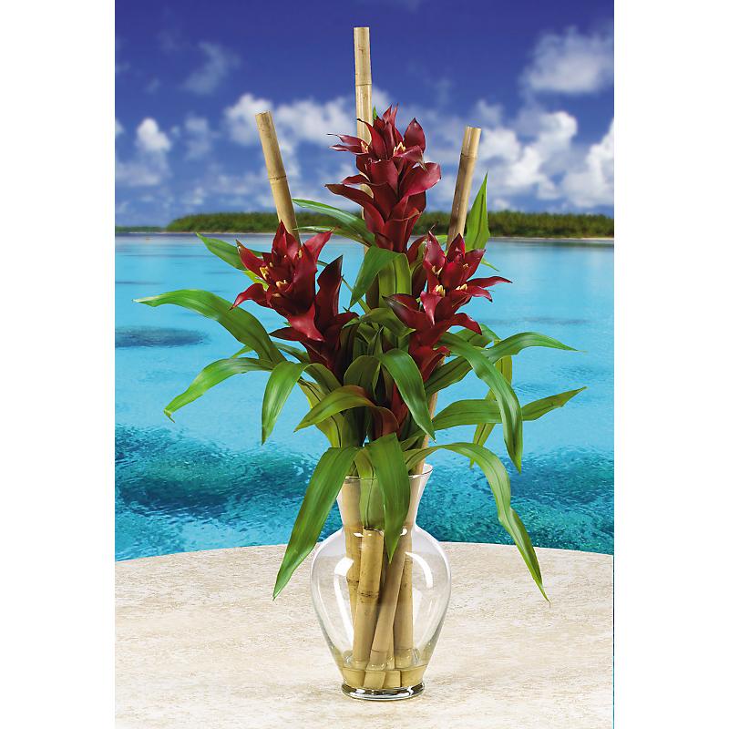 Shopzeus USA zeusd1CALA4270089 Triple Bromeliad Liquid Illusion