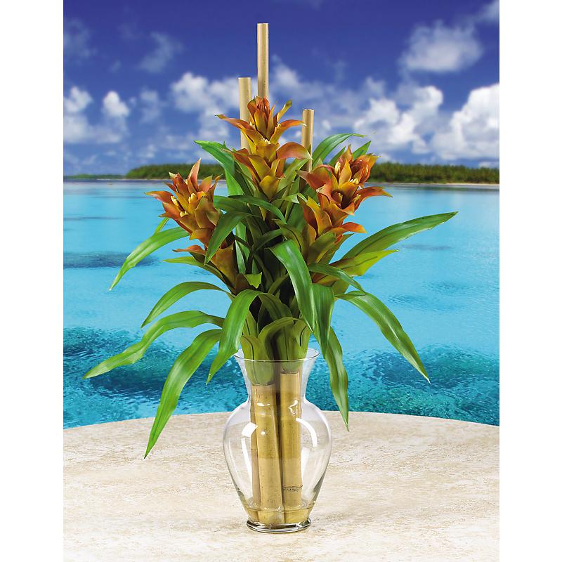 Shopzeus USA zeusd1CALA4270091 Triple Bromeliad Liquid Illusion