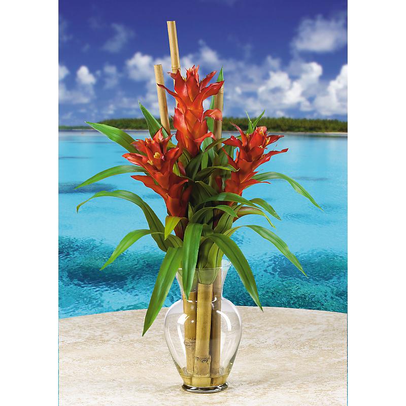 Shopzeus USA zeusd1CALA4270092 Triple Bromeliad Liquid Illusion