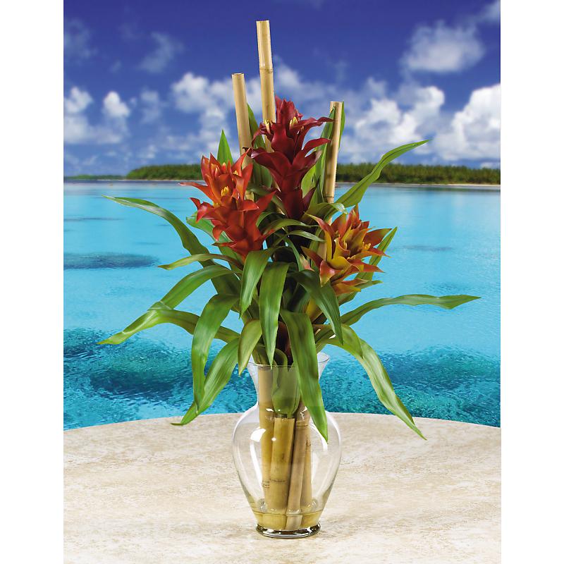 Shopzeus USA zeusd1CALA4270090 Triple Bromeliad Liquid Illusion