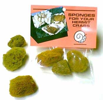 Shopzeus USA zeusd1EPST1256980 Sponges 3pk 6pc original