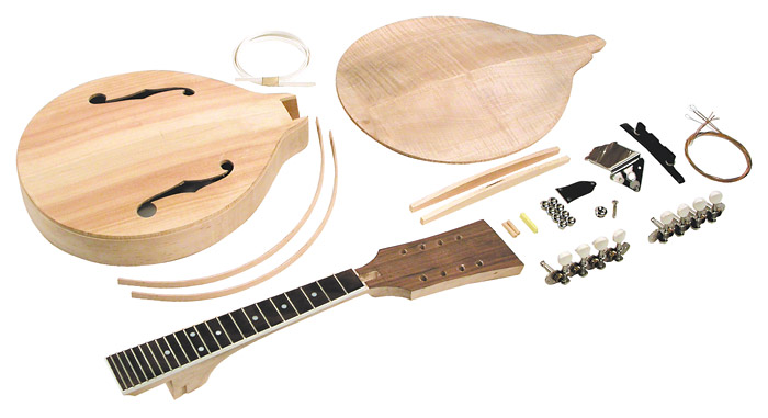 Saga AM10 Acoustic AModel Mandolin Kit