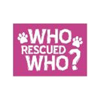 Imagine This Company 1018PM Who Rescued Who Medium Pet TShirt  Pink
