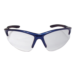 Db2 Safety Glasses Clear Lens And Blue Frames In Polybag