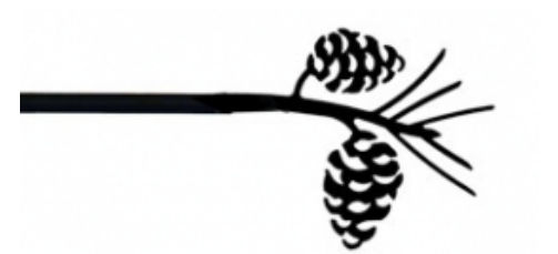 Village Wrought Iron CUR89130 Iron Pine Cone Curtain Rod 130 in.