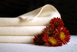 Organic Caboose 2104PW Fine Organic Wool Hemmed Blankets  Twin