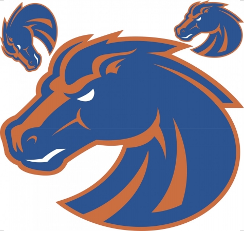 Trademarx RL BSU Boise State Broncos Licensed Wall Decal