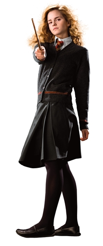 Roommate RMK1549GM Hermione Giant Wall Decal