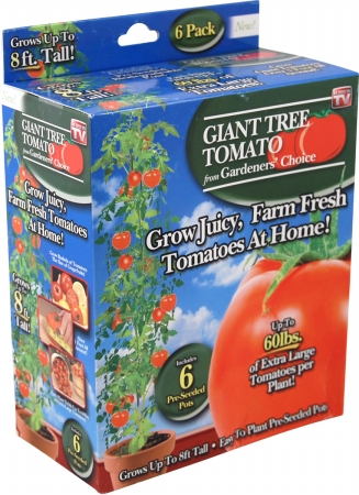 Gardeners Choice 245TOMA As Seen On TV Giant Tree Tomato (Case of 24)