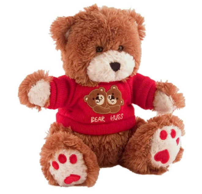 AnAn Corp. SKU780 SD Card Motion Teddy Bear DVR Hidden Camera