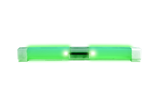 Garden Sun Light GL91B Plastic 2 Green LED Pathway Solar Light