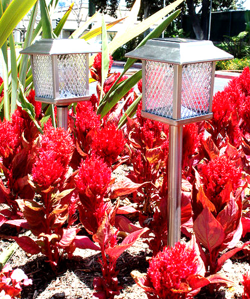 Garden Sun Light ST360 Stainless Steel Square Solar Light Garden Sun Light ST360 Stainless Steel Square Solar Light