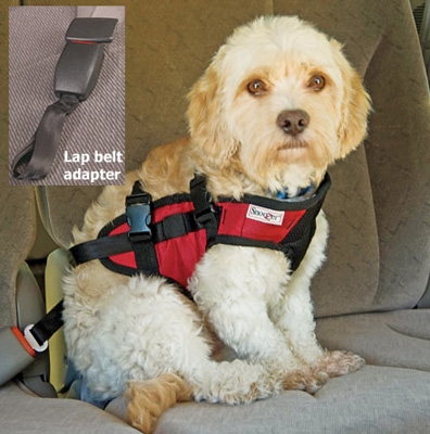 ODonnell Industries 98996 Small Dog Safety Harness  Red