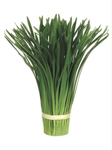 Afc Aag112gr Club Pack of 12 Small Artificial Onion Grass Bouquet Holders 12... by Uncle Jules