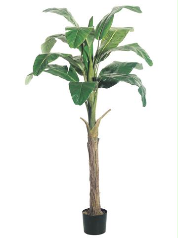 AFC LPB806 Pack of 2 Potted Artificial Banana Trees 6 ft.