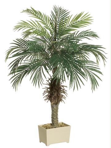 AFC LPP504 Pack of 2 Potted Artificial Silk Phoenix Palm Trees 4 ft.