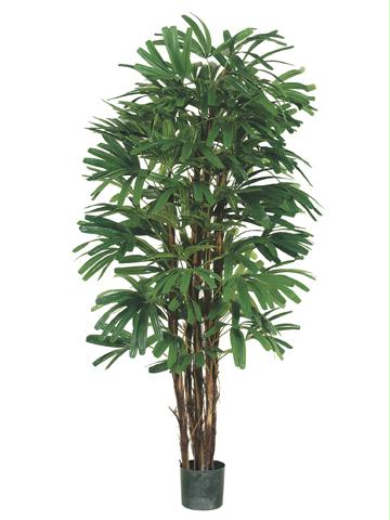 AFC LPR315GRTT Pack of 2 Potted Artificial Rhapis Trees 5 ft.