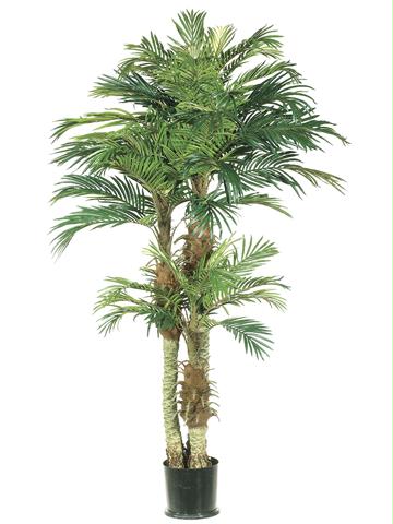 AFC LPX801GR Pack of 2 Potted Artificial Silk Phoenix Palm Trees 6 ft.