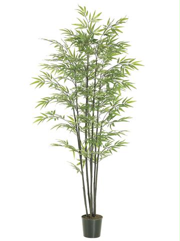 AFC LTB066GR Pack of 2 Artificial Potted Black Bamboo Trees 6 ft.