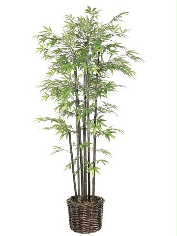 AFC LTB574GR Pack of 2 Miniature Artificial Black Bamboo Trees in Rattan Pot 4 f