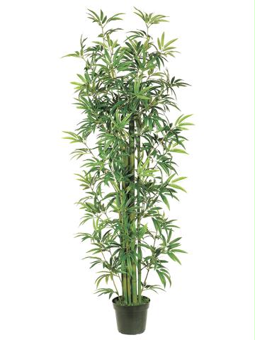 AFC LTB736GR Pack of 2 Artificial Potted Bamboo Trees 6 ft.