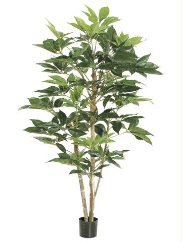 AFC LTS105GR Pack of 2 Potted Artificial Schefflera Trees 5 ft.