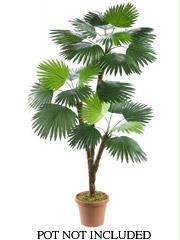 AFC PTC416 Pack of 2 Artificial Fan Palm Trees 5.5 ft.