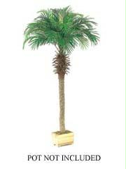 AFC PTP606 Pack of 2 Artificial Phoenix Palm Trees 6 ft.