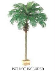 AFC PTP607 Pack of 2 Artificial Phoenix Palm Trees 7 ft.